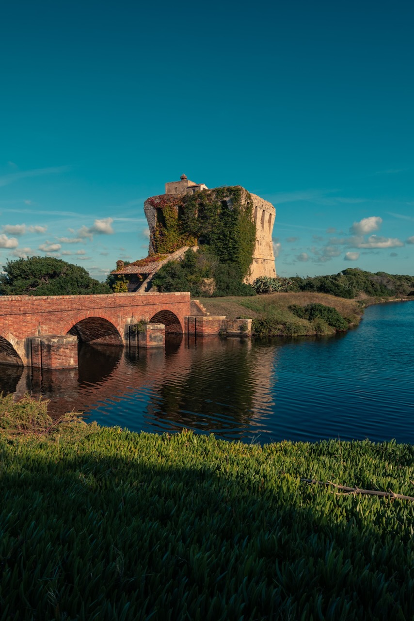 fenicotteri wwf capalbio