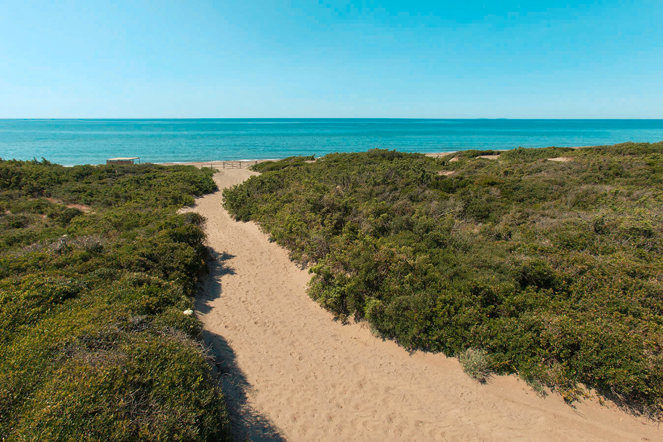 Beaches